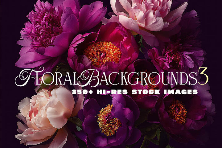 New Deal on Dealjumbo