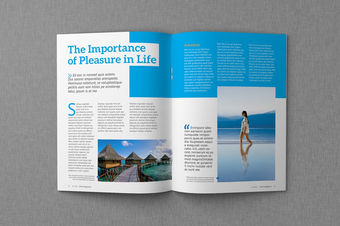 Magazine Proposal InDesign Templates Dealjumbo com 