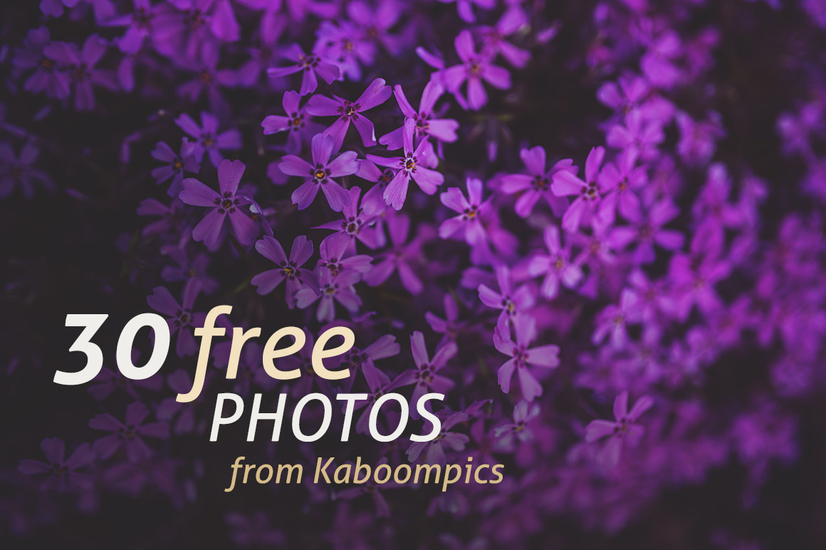 30 Free Photos from Kaboompics - Dealjumbo.com — Discounted design ...